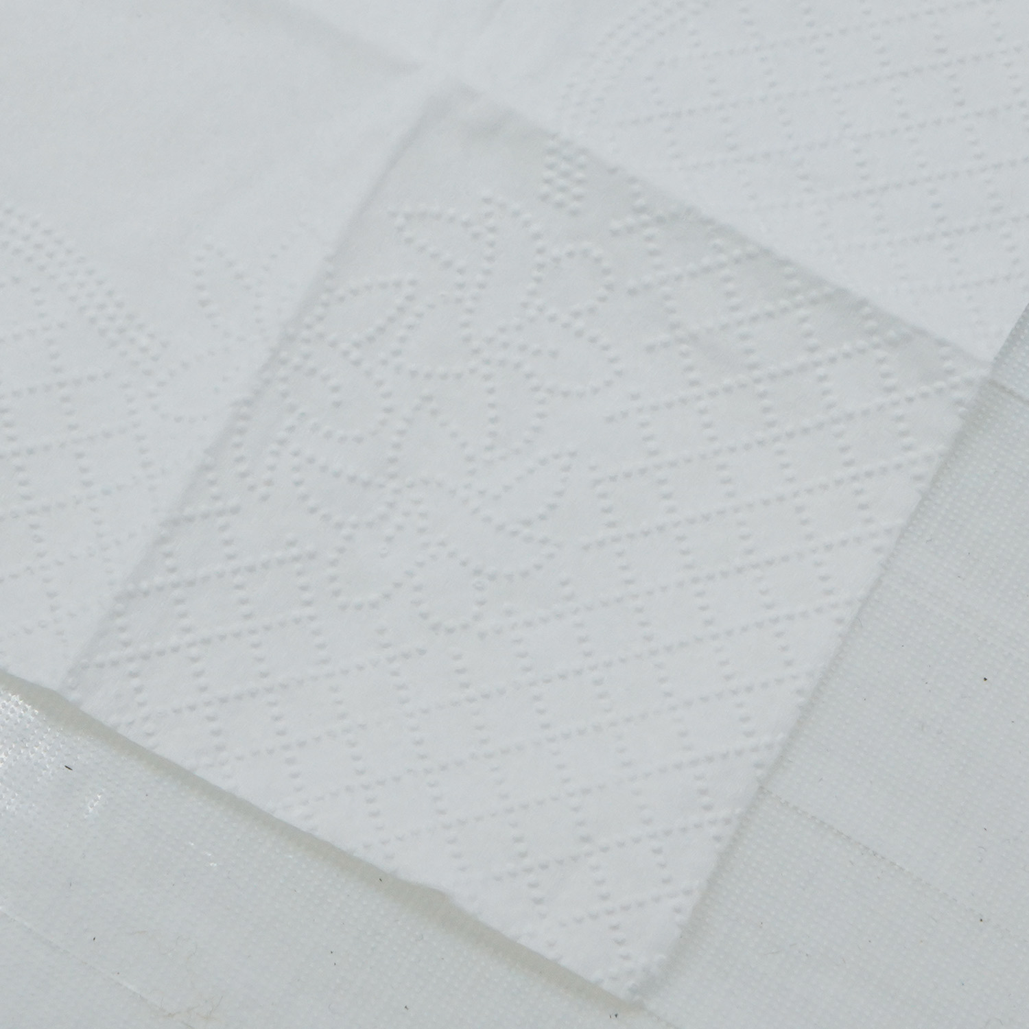 tissue
